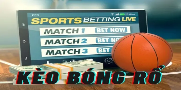 Cá Cược Bóng Rổ BSport: Sân Chơi Kịch Tính Hàng Đầu 2025
