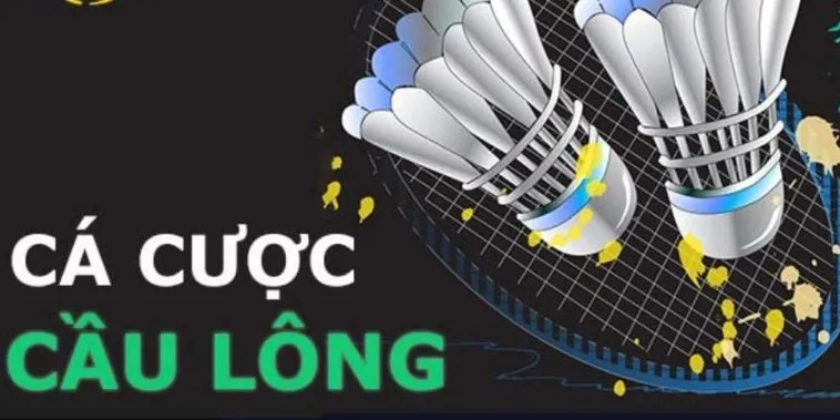 Hướng Dẫn Cách Chơi Cá Cược Cầu Lông BSport Hiệu Quả