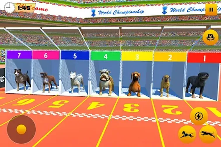Hướng Dẫn Chơi Game Nhanh Đua Chó Tại BSport Thắng Lớn
