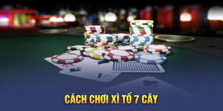 Xì Tố Tại BSport: Thách Thức Trí Tuệ Và May Mắn Trong Từng Ván Bài